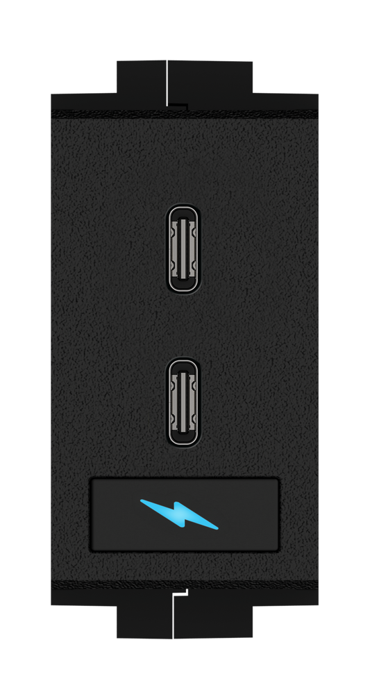 Crestron FT2A-CHGR-2USB - Dual USB 100 W Charging Module for FT2 Series