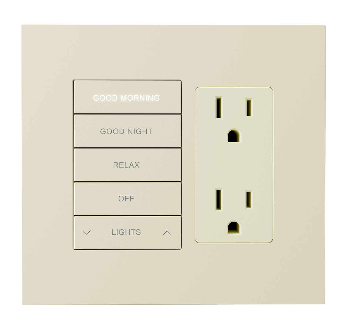 Crestron HZ2-FP-G2-D1-A - Horizon® 2 Faceplate, 2-Gang, 1-Decorator, Almond