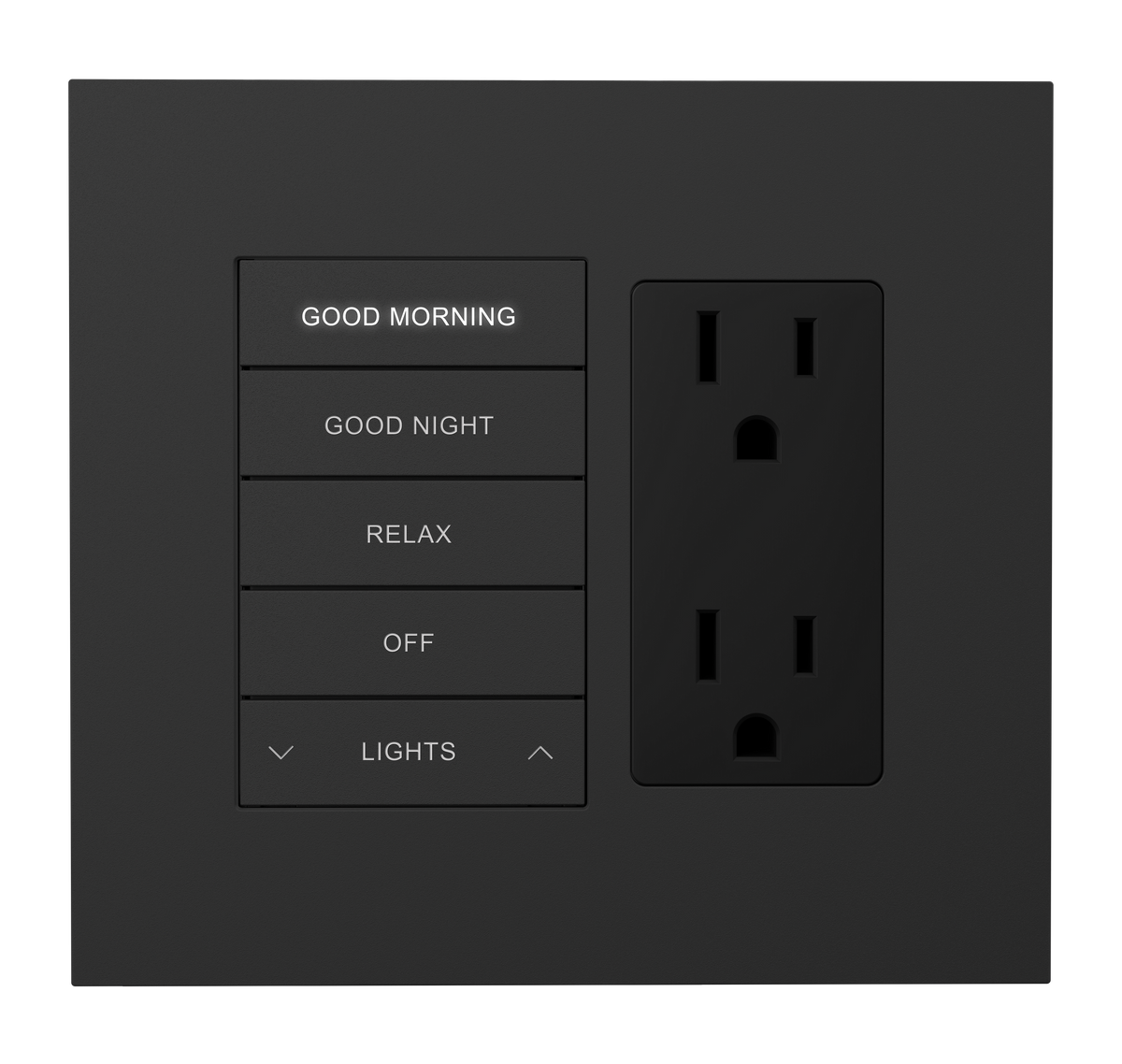 Crestron HZ2-FP-G2-D1-B - Horizon® 2 Faceplate, 2-Gang, 1-Decorator, Black