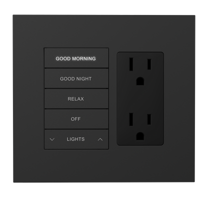 Crestron HZ2-FP-G2-D1-B - Horizon® 2 Faceplate, 2-Gang, 1-Decorator, Black