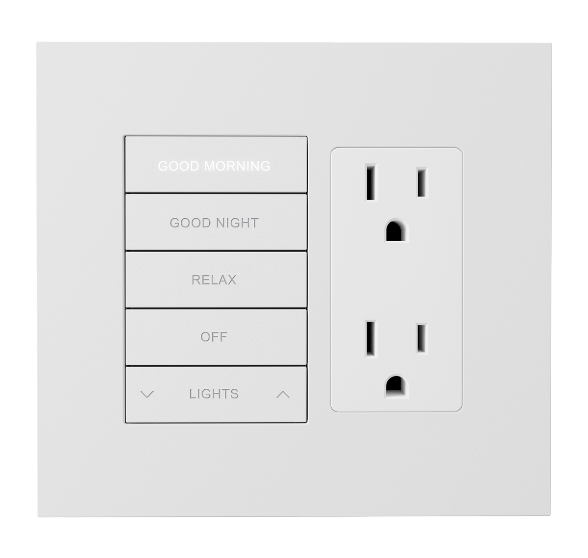 Crestron HZ2-FP-G2-D1-W - Horizon® 2 Faceplate, 2-Gang, 1-Decorator, White