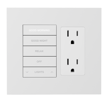 Crestron HZ2-FP-G2-D1-W - Horizon® 2 Faceplate, 2-Gang, 1-Decorator, White